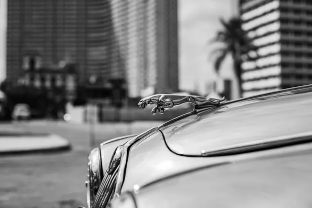 PocketWin Casino Android/iOS-app