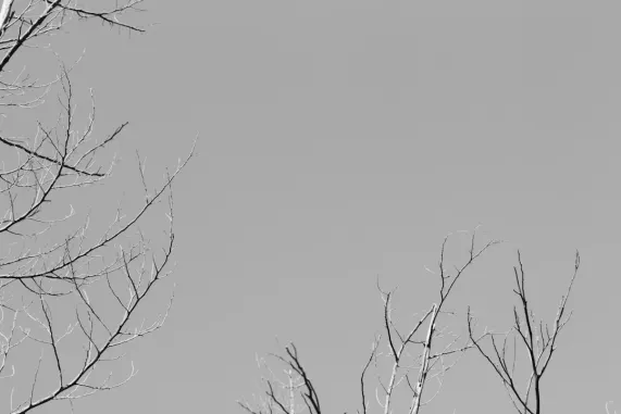 PocketWin Casino Kundeservice